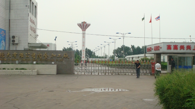 吉林德大有限公（gōng）司汙水處理工程（chéng）